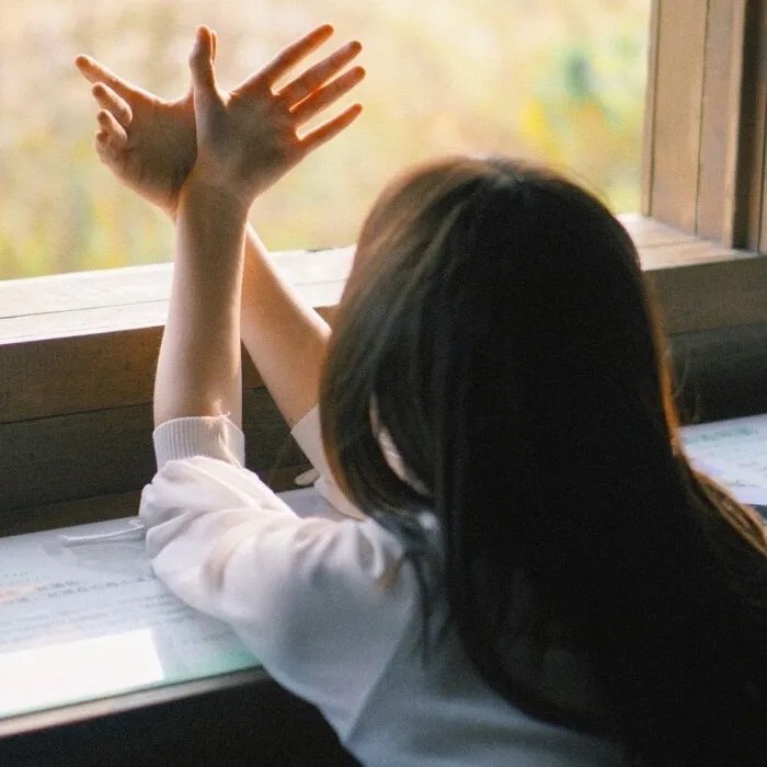 亲爱的乘客，你好第二季